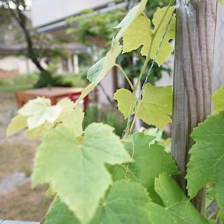 Gartenwohnung Vor Den Toren Berns * Zollikofen