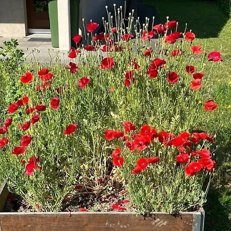 Gartenwohnung Vor Den Toren Berns Apartamento *