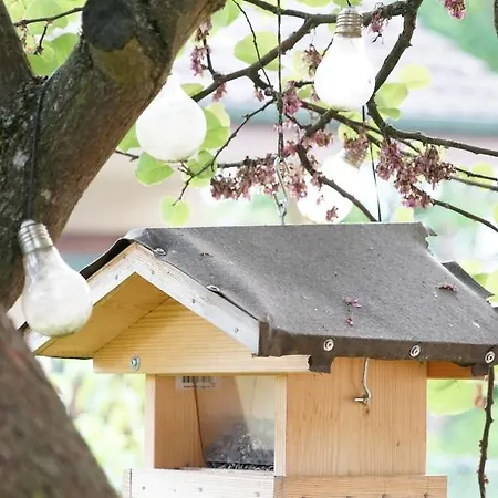 Apartamento Gartenwohnung Vor Den Toren Berns