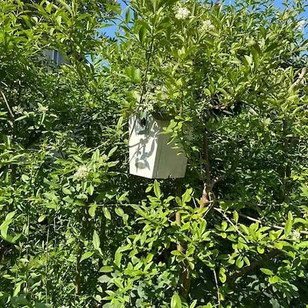 Gartenwohnung Vor Den Toren Berns Zollikofen