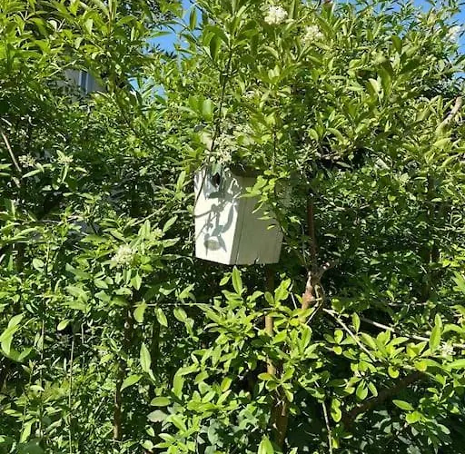Gartenwohnung Vor Den Toren Berns Zollikofen