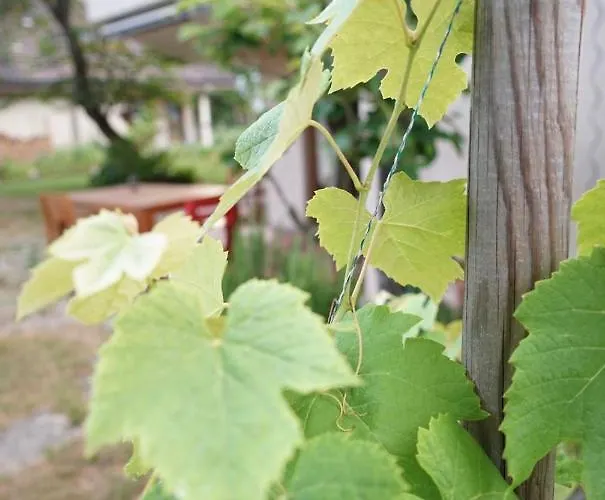 Gartenwohnung Vor Den Toren Berns * Zollikofen