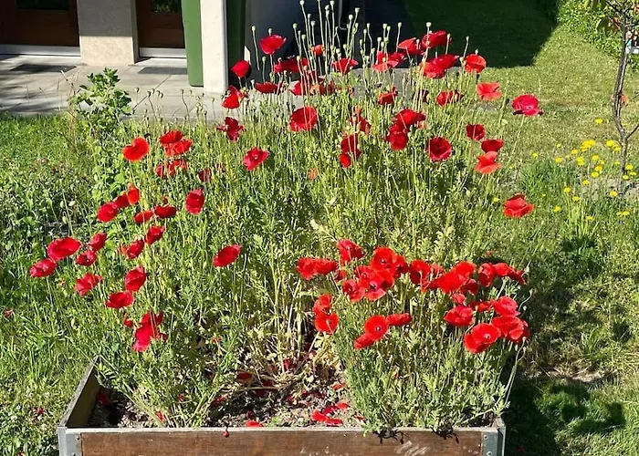 Gartenwohnung Vor Den Toren Berns Lägenhet *