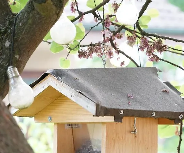 Lägenhet Gartenwohnung Vor Den Toren Berns